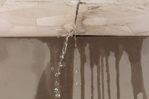 Professional Sewage Cleanup technician working in Etlan, VA